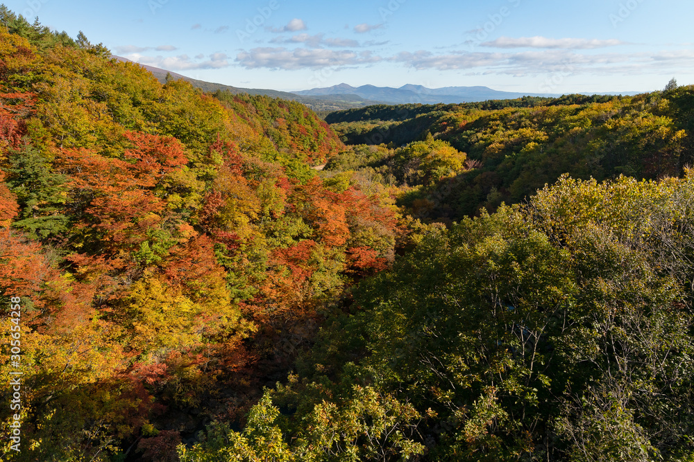 岩手県八幡平市　森の大橋からみる松川の紅葉の景色