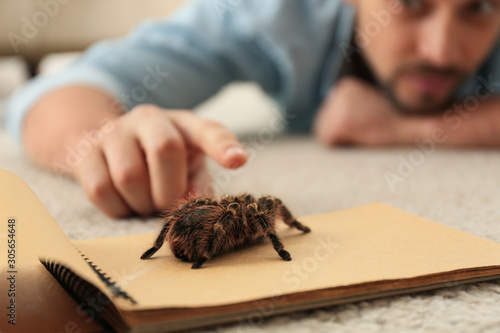Man and tarantula on carpet, closeup. Arachnophobia (fear of spiders)