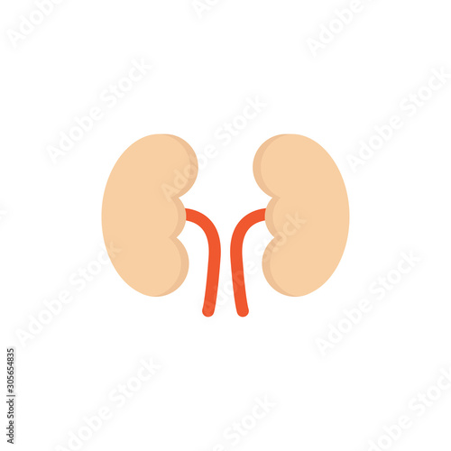 Kidneys Vector Flat Icon
