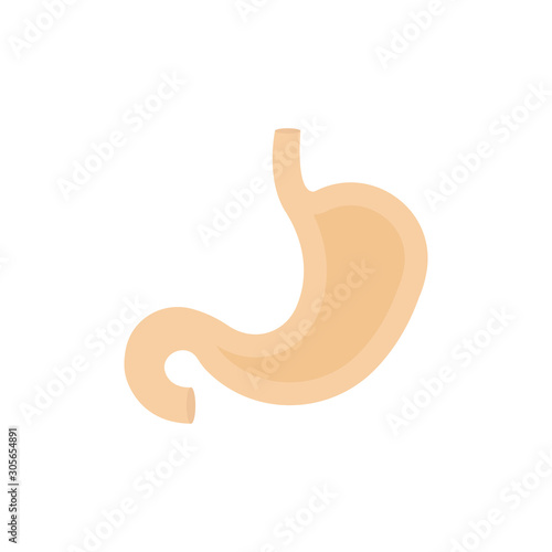 Stomach Vector Flat Icon