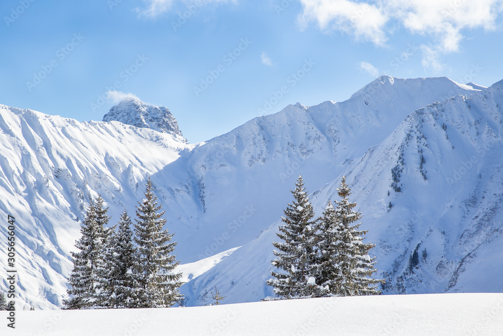 Lot of snow on the mountains and pine trees in Kleinwalsertal in Austria