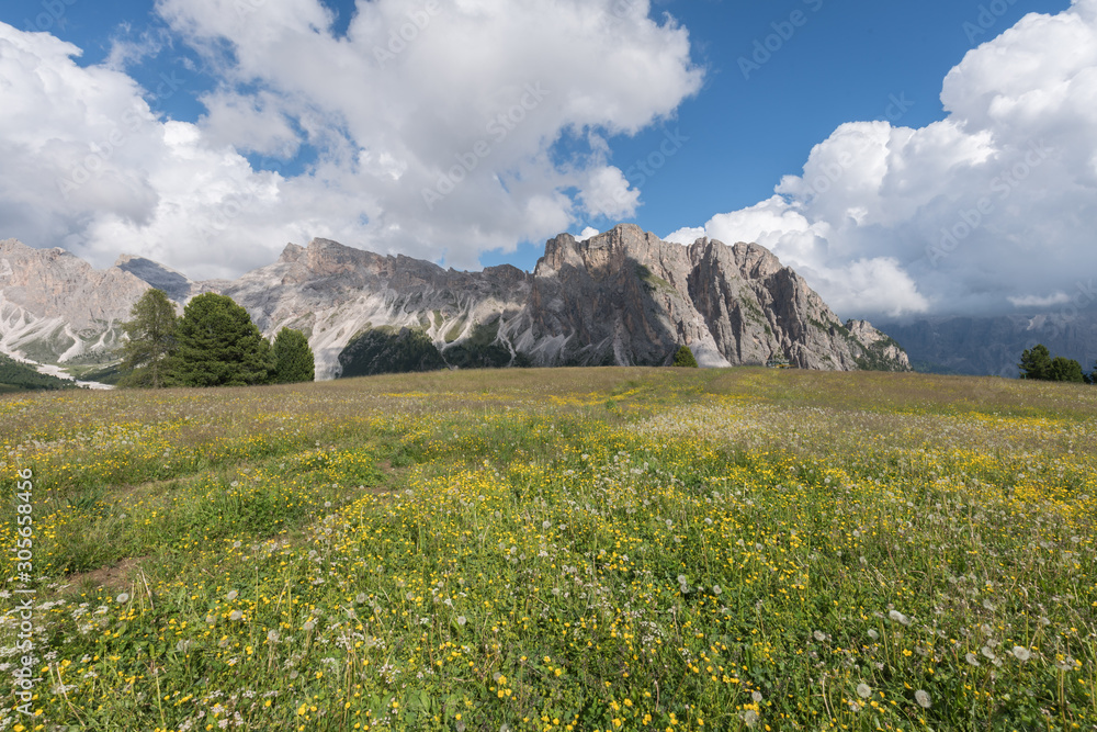 Landscapes of mountain and grassland with flowers in Seceda, with clouds and blue sky, in Dolomites mountain range in summer