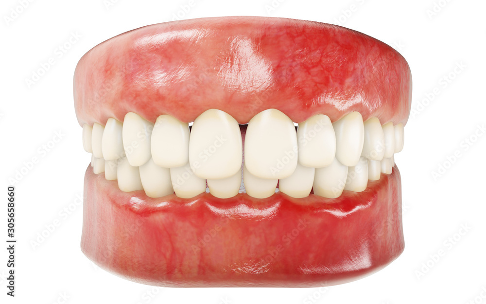 Fototapeta premium 3d rendering of human teeth. Medically accurate tooth 3D illustration