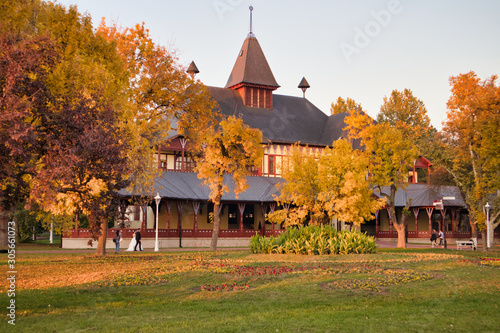 Palić park in autumn