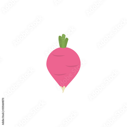 vegetable radish flat style icon