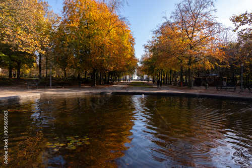 Alley in Parc de Bruxelles on a sunny autumn day