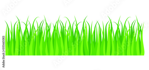 Vector green lawn grass texture illustration: natural, organic, bio, eco label and shape on white background. Ground land pattern. 