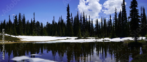 The trees were reflected in the clear water of the lake with blue sky landscape.