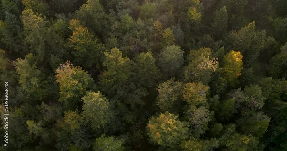 France Has So Much To Offer Tourist Spots To Forestry A Key Source Of Job Creation- Aerial Shot France Has So Much To Offer Tourist Spots To Forestry A Key Source Of Job Creation- Aerial Shot