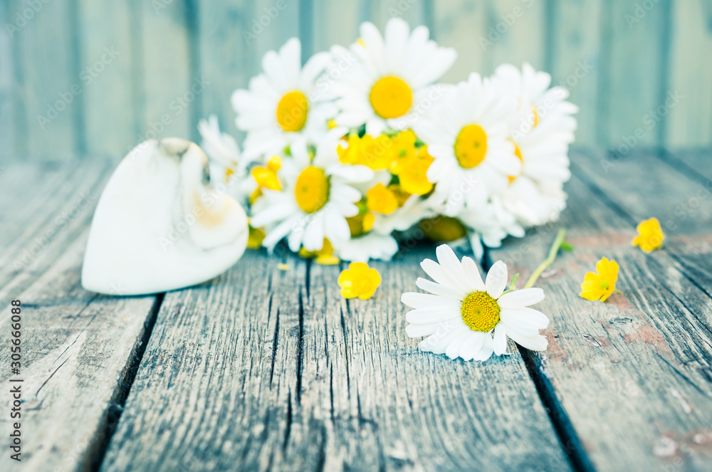 Obraz premium Daisies. Vintage romantic floral background. Instagram effect