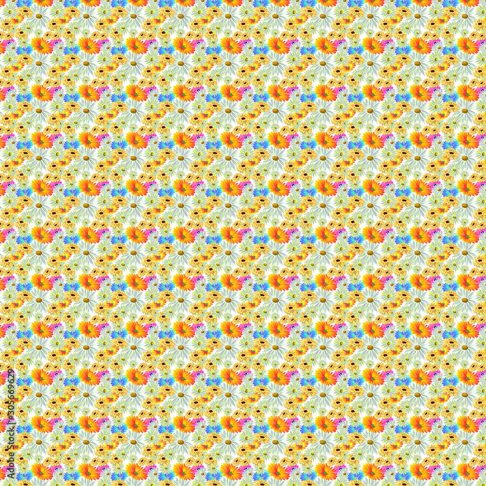 Pattern flower fresh orange spring Pattern flower fresh orange spring