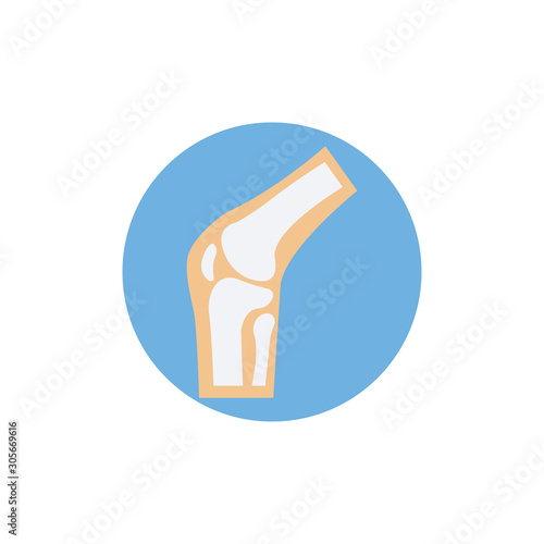 Bone Joints Vector Icon