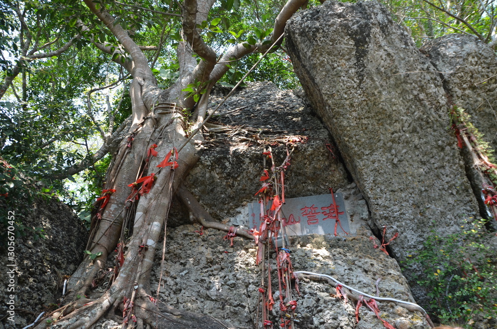 Obraz premium landscape, Park