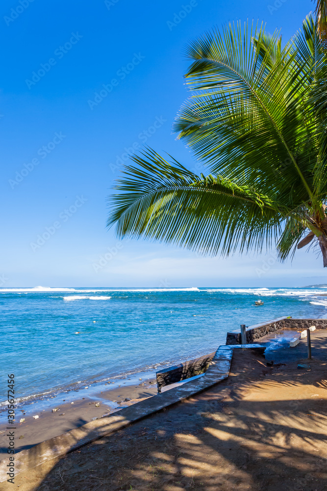 tropical beach with palm trees, l Étang-Salé-les-Bains, Réunion 