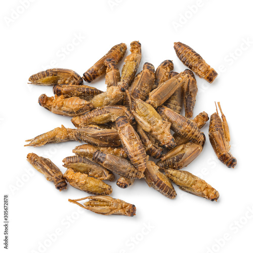 Heap of crispy small crickets