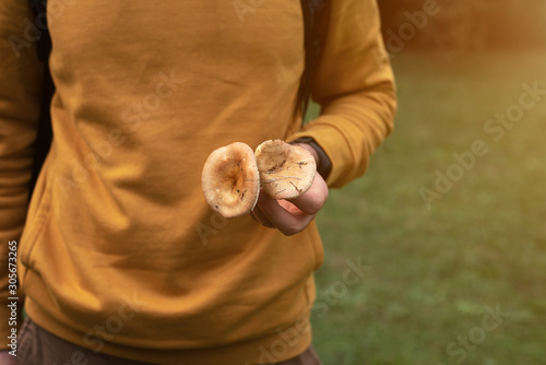 Red mushrooms in the hands of a young man. Green glade.
