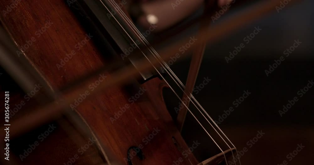 Stock video footage Symphony Orchestra