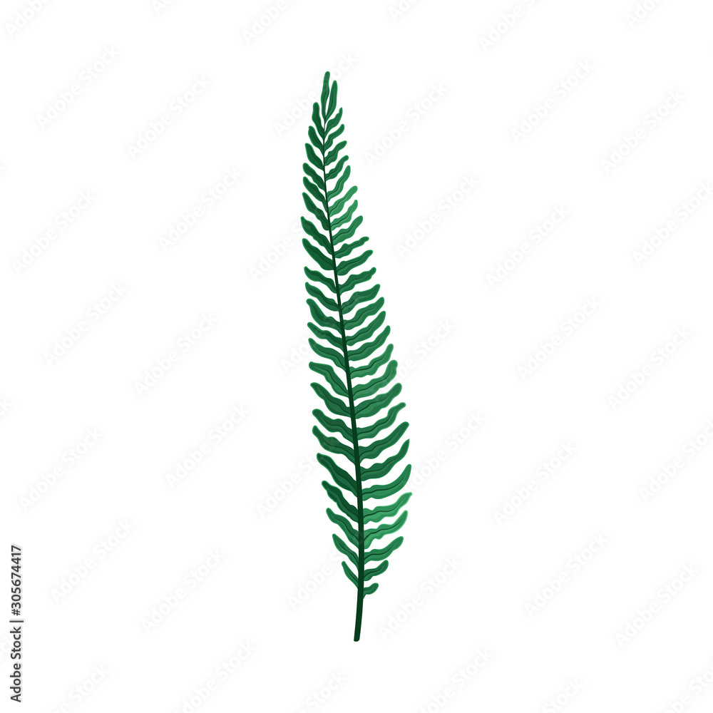 Green Branch of Wild Fern Vector Illustration For Graphic Decoration of Cards Green Branch of Wild Fern Vector Illustration For Graphic Decoration of Cards