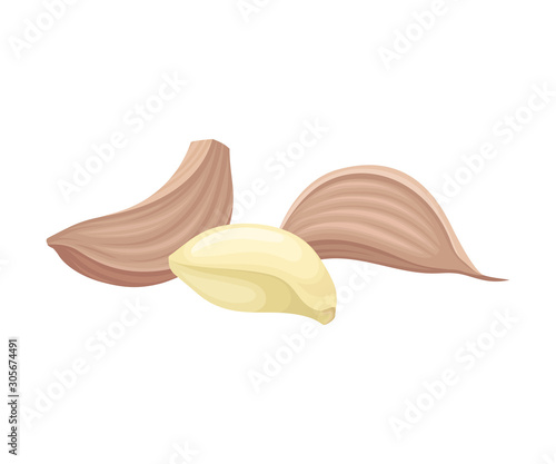 Cloves of Garlic Isolated On White Background Vector Item