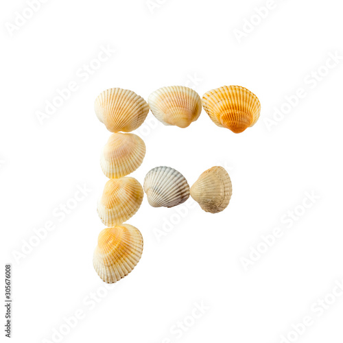 Letter "f" composed from seashells, isolated on white background