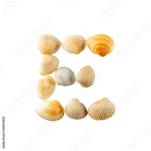 Letter "e" composed from seashells, isolated on white background