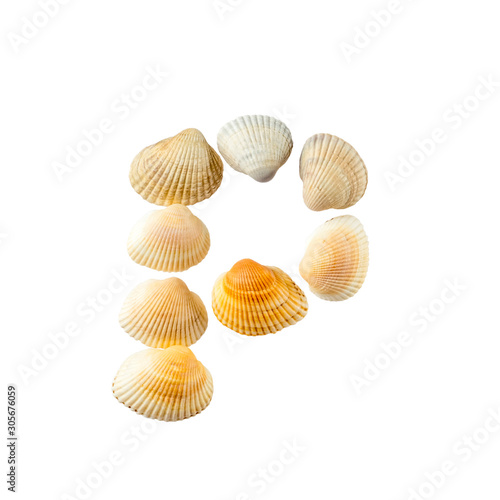 Letter "p" composed from seashells, isolated on white background