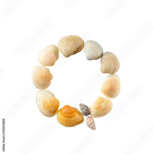 Letter "q" composed from seashells, isolated on white background