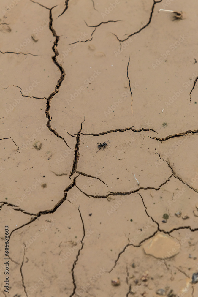 Fototapeta premium ground cracks