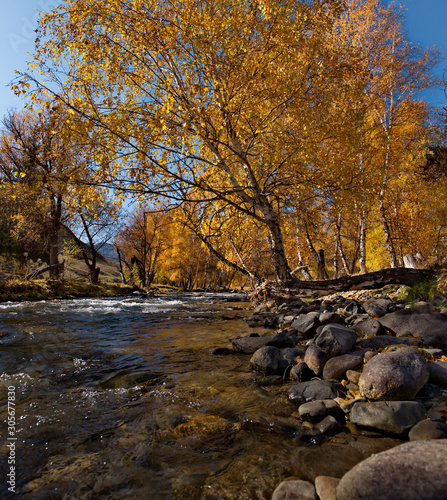 Russia. Mountain Altai. River Big Ilgumen near the village Kupchegen © Александр Катаржин