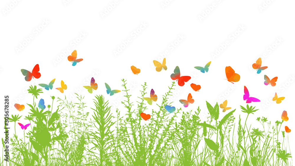 silhouette of grass on white background. Multi-colored butterflies. Vector illustration