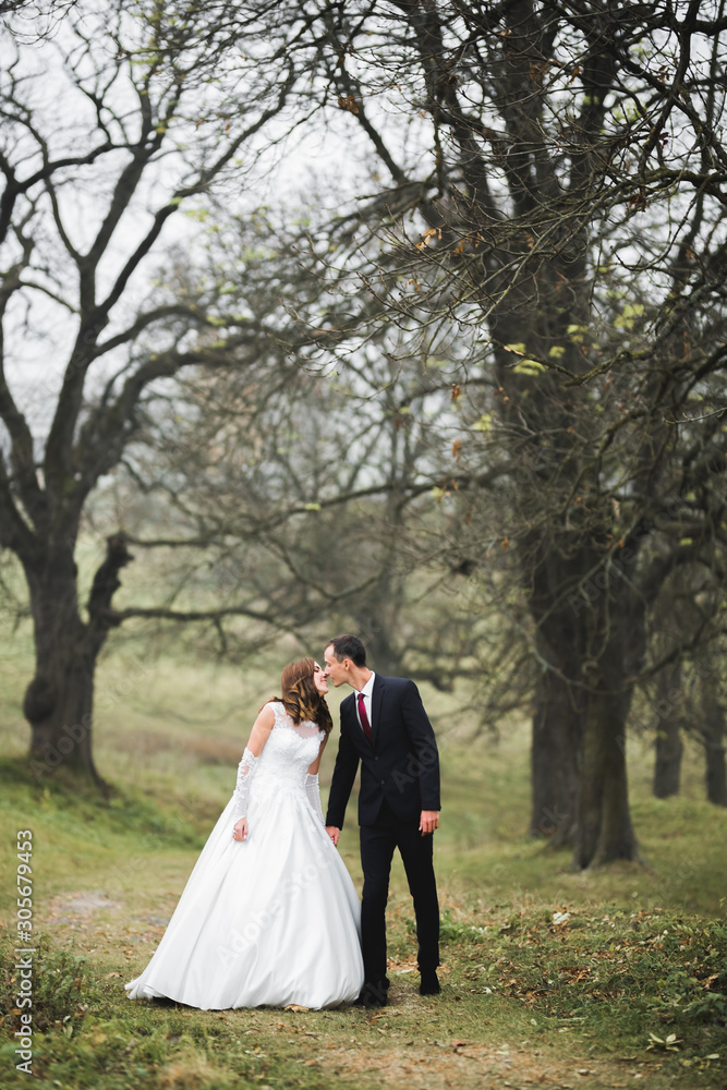 Happy wedding couple walking in a botanical park Happy wedding couple walking in a botanical park