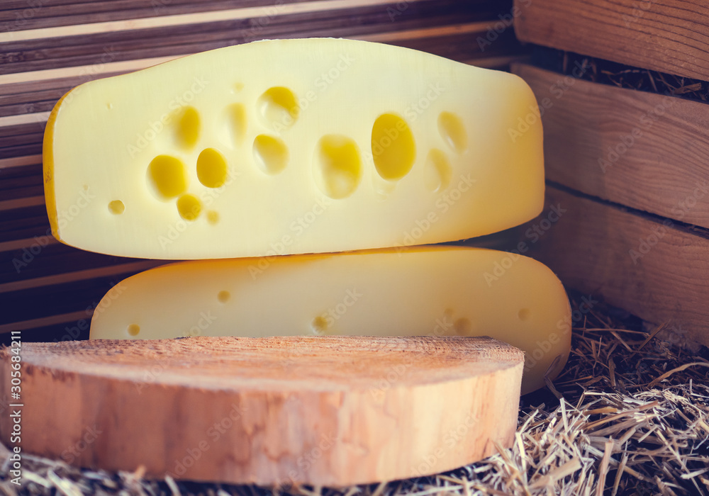 Fotografia do Stock Traditional Dutch cheese with big holes. Holland