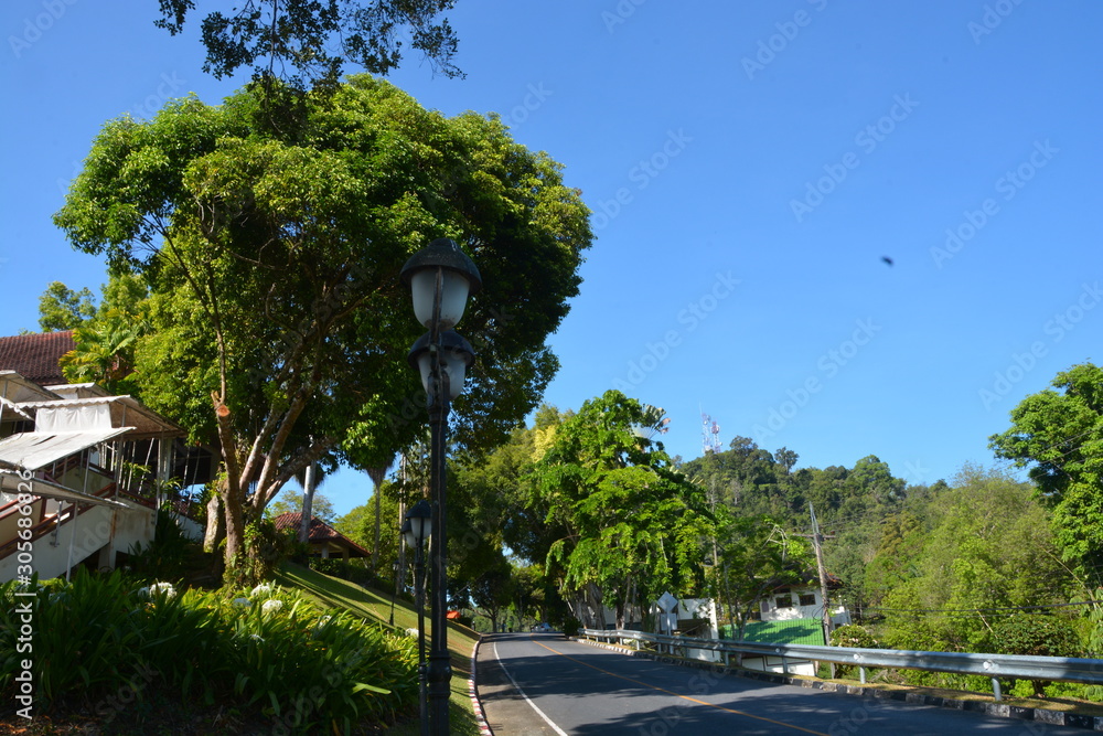 Fototapeta premium view of park