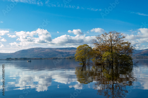 Autumn colours on Loch Lomond banks  Balmaha  Scotland