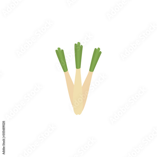 vegetable leek flat style icon