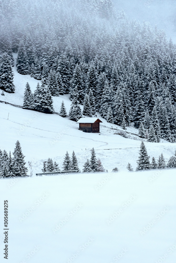 Wooden hut in Alpine mountains in deep snow during winter evening  / South Tyrol region during winter