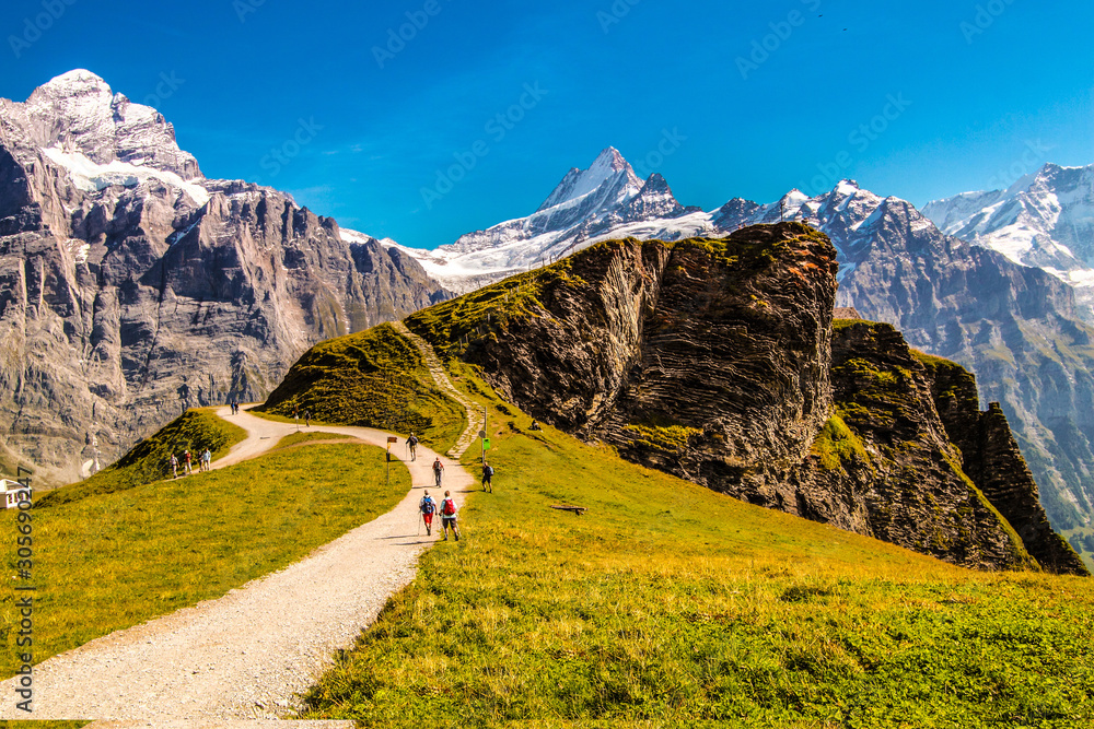 Grindelwald First It is a very popular place nature of Switzerland, the weather is good in summer and winter, with high angle views and Jungfrau Mountain on the opposite side.