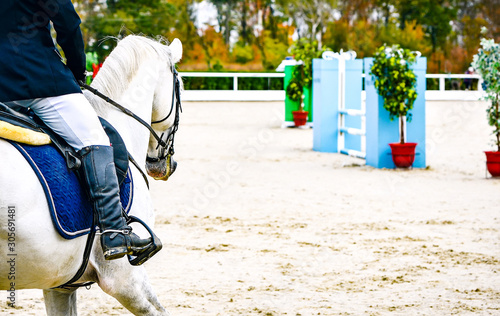 Fototapeta Horse and rider in uniform