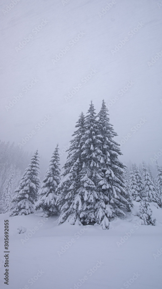 Winterlandschaft mit schneeweißen Bäumen