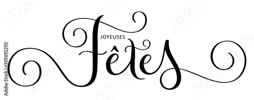 Calligraphie vecteur JOYEUSES FETES