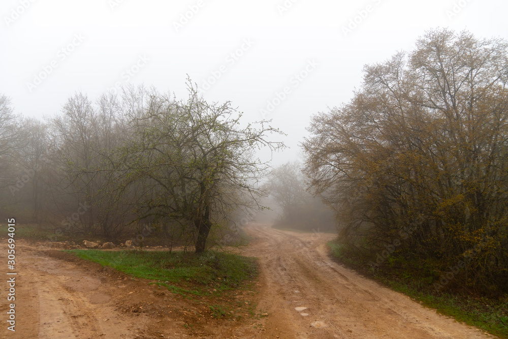 Mud and clay on a rural road in the rain Mud and clay on a rural road in the rain