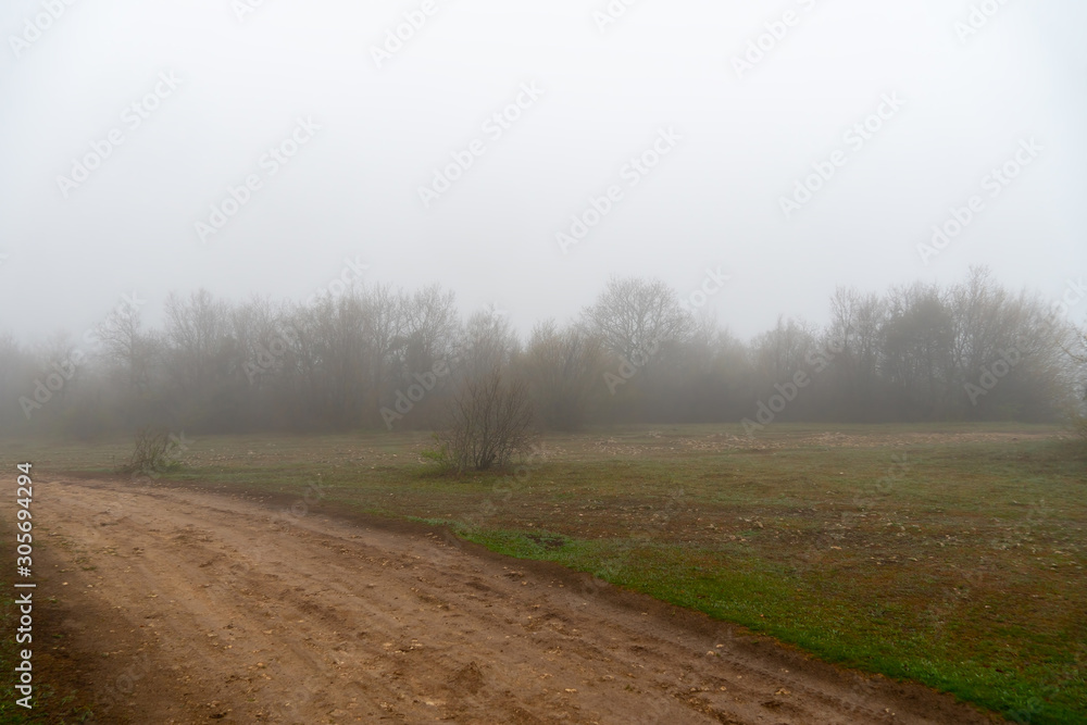 Fog and rain in the spring forest. Country road covered in mud and clay.