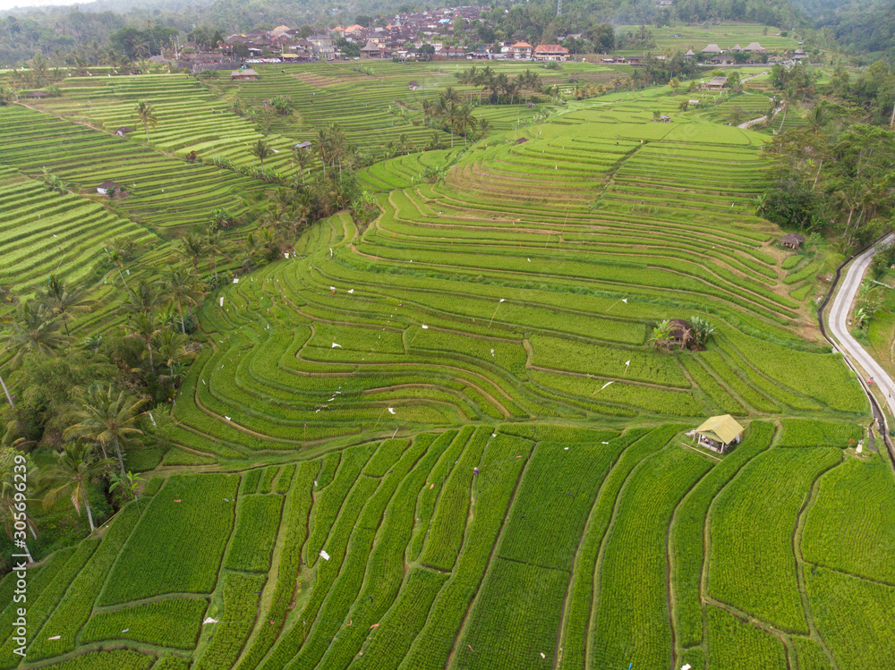 Indonesia, november 2019: Aerial view of Bali Rice Terraces Jatiluwih. The beautiful and dramatic rice fields in southeast Bali have been designated the prestigious UNESCO world heritage site.
