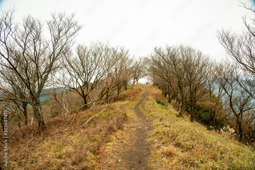 兵庫県・市原コースから尾根沿いに千ヶ峰頂上へ 兵庫県・市原コースから尾根沿いに千ヶ峰頂上へ