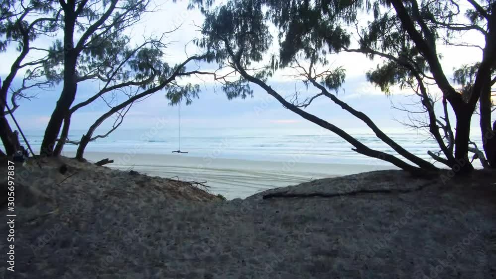 Coastal Beach With White Sand Blue Waves And A Rope Swing Coastal Beach With White Sand Blue Waves And A Rope Swing