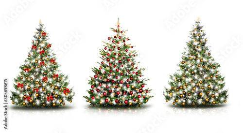 Drei Weihnachtsbäume