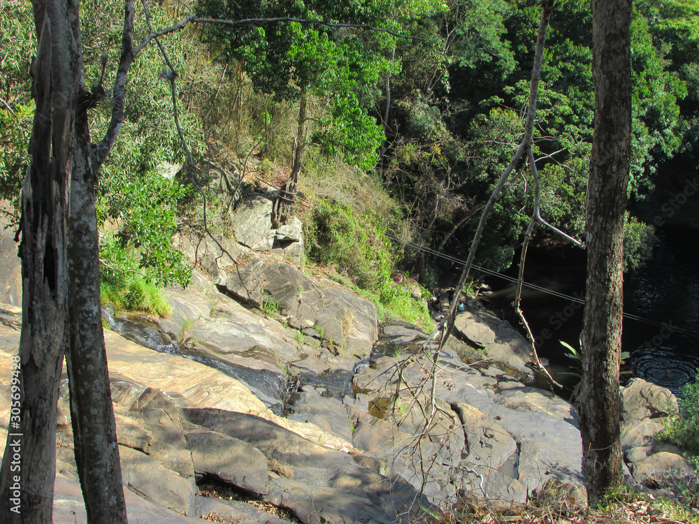 Forest view in guaramiranga valley Forest view in guaramiranga valley