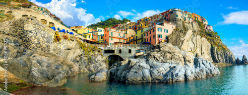 Fototapeta Naklejka Na Ścianę i Meble -  View of Manarola town on rocky coast at famous Cinque Terre National Park. Liguria, Italy