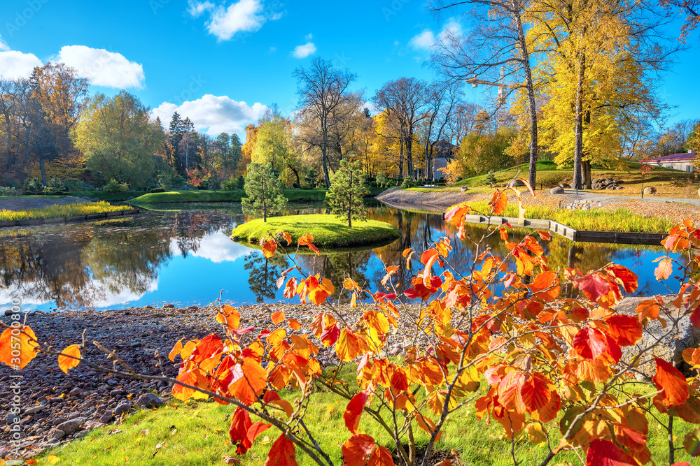 Park Kadriorg with small pond at golden autumn. Tallinn, Estonia - obrazy, fototapety, plakaty 