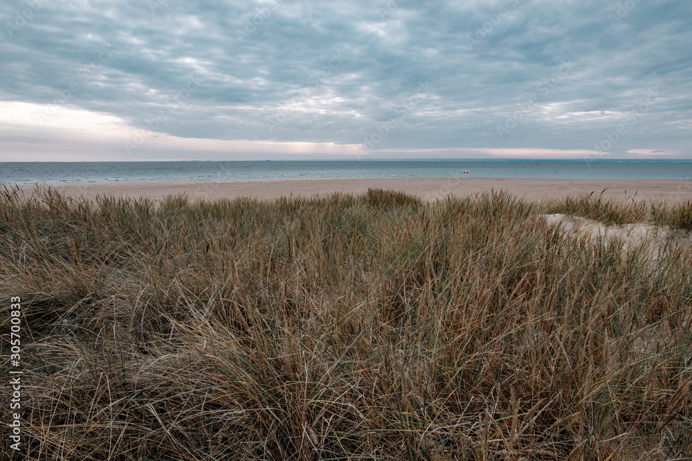 Dunes on the beach in Hel